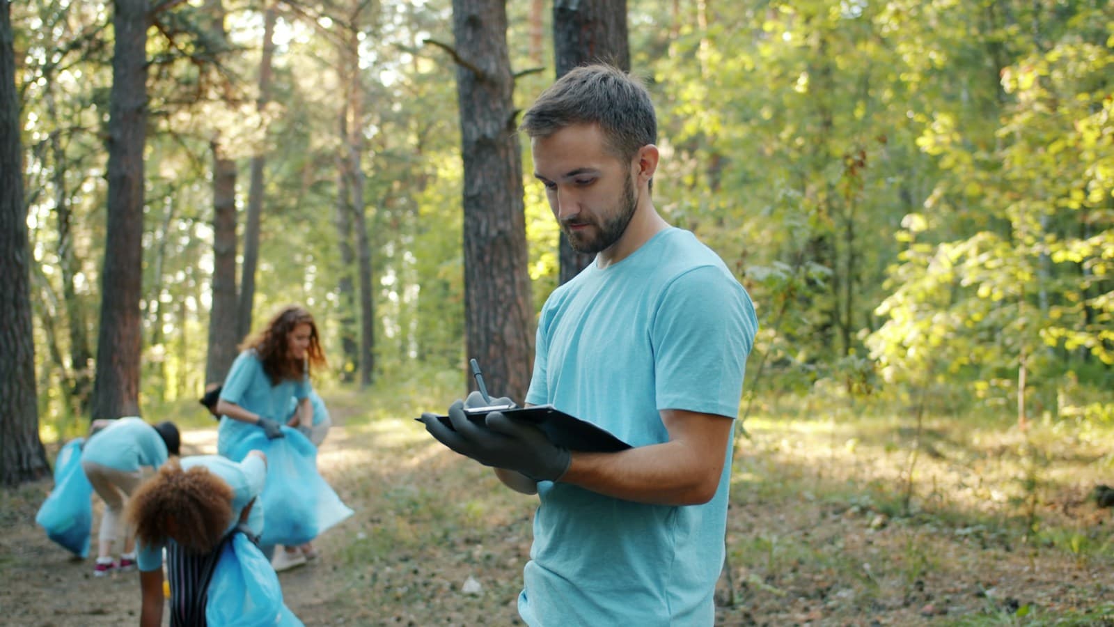 Volunteers collecting litter in a sunny forest